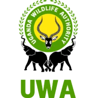 uwa-transparent